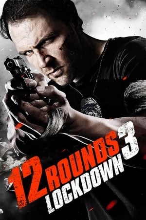 12 Rounds 3 Lockdown 2015 Hindi Dual Audio 300MB HD Poster Download - Filmyzilla