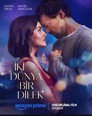 Two Worlds, One Wish 2025 Hindi Dual Audio HD Poster Download - Filmyzilla