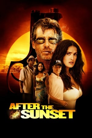 After The Sunset (2004) Hindi Dual Audio [780MB] HD Poster Download - Filmyzilla