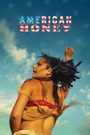 American Honey (2016) Hindi Dual Audio [1.4GB] HD Poster Download - Filmyzilla