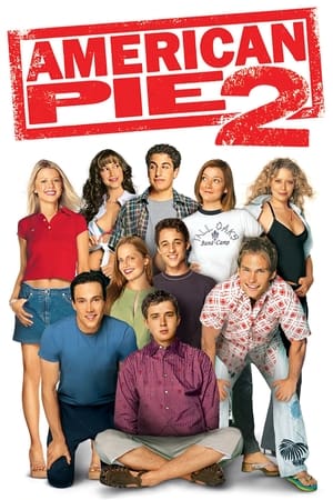 American Pie 2 (2001) Hindi Dual Audio [990MB] HD Poster Download - Filmyzilla