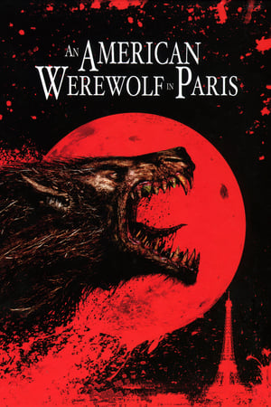 An American Werewolf in Paris 1997 Hindi Dual Audio 300MB HD Poster Download - Filmyzilla