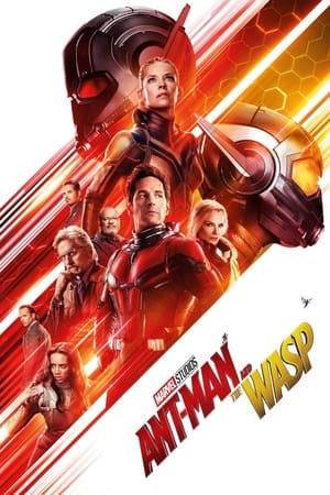 Ant Man and the Wasp (2018) Hindi Dual Audio 350MB HD Poster Download - Filmyzilla