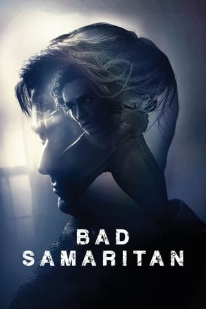 Bad Samaritan (2018) Hindi Dual Audio 400MB HD Poster Download - Filmyzilla