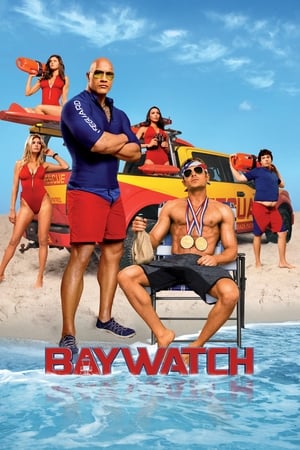 Baywatch 2017 Dual Audio Hindi ORG 300MB HD Poster Download - Filmyzilla