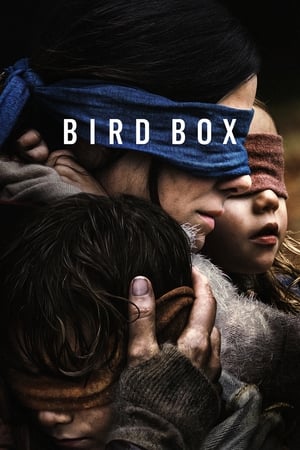 Bird Box 2018 Hindi (HQ DUBBED) Dual Audio WehRip [1.1GB] HD Poster Download - Filmyzilla