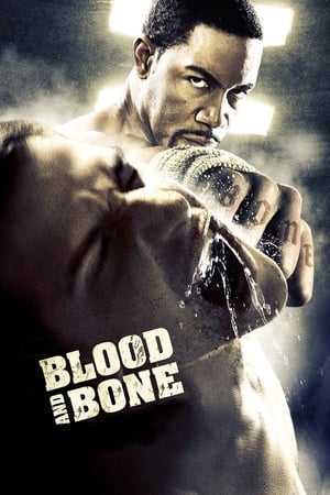 Blood and Bone (2009) Hindi Dual Audio [950MB] HD Poster Download - Filmyzilla