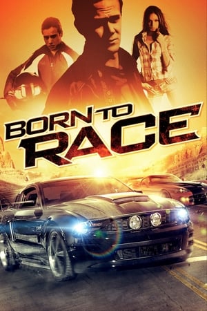 Born to Race 2011 Hindi Dual Audio 300MB HD Poster Download - Filmyzilla