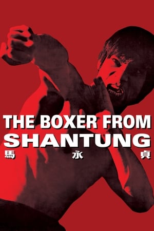 Boxer from Shantung (1972) Hindi Dual Audio 400MB HD Poster Download - Filmyzilla