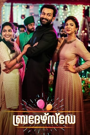 Brother’s Day (2019) (Hindi – Malayalam) Dual Audio – HD Poster Download - Filmyzilla