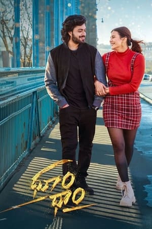 Dhoom Dhaam 2024 Telugu Dubbed HD Poster Download - Filmyzilla