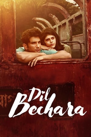 Dil Bechara (2020) Hindi Movie - [350MB] HD Poster Download - Filmyzilla