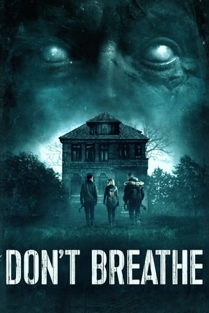 Don't Breathe (2016) Hindi Dual Audio [850MB] HD Poster Download - Filmyzilla