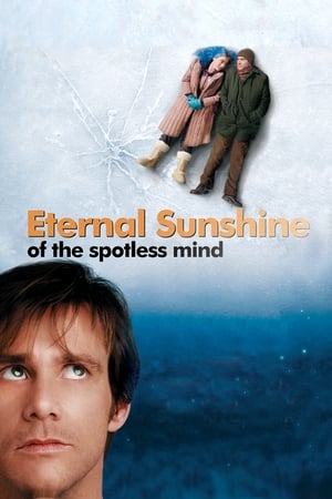 Eternal Sunshine Of The Spotless Mind 2004 Hindi Dual Audio [780MB] HD Poster Download - Filmyzilla