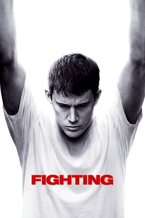 Fighting (2009) Hindi Dual Audio [1.1GB] HD Poster Download - Filmyzilla