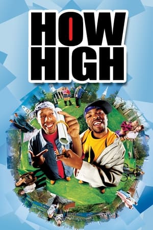 How High (2001) Hindi Dual Audio 300MB HD Poster Download - Filmyzilla