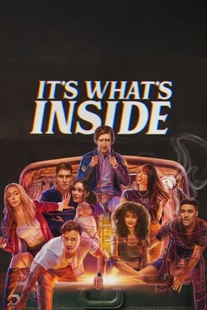 It’s What’s Inside 2024 Hindi Dual Audio HD Poster Download - Filmyzilla