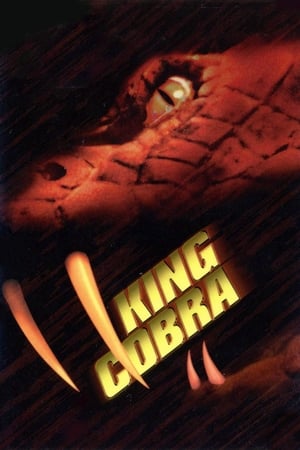 King Cobra 1999 Hindi Dual Audio 300MB HD Poster Download - Filmyzilla