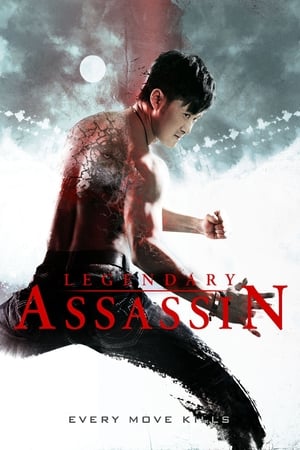 Legendary Assassin (2008) Hindi Dual Audio [1GB] HD Poster Download - Filmyzilla