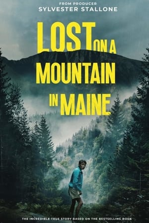 Lost on a Mountain in Maine 2024 Hindi Dubbed HD Poster Download - Filmyzilla