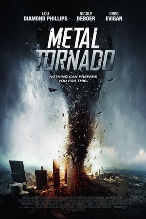 Metal Tornado 2011 Hindi Dual Audio [1GB] HD Poster Download - Filmyzilla