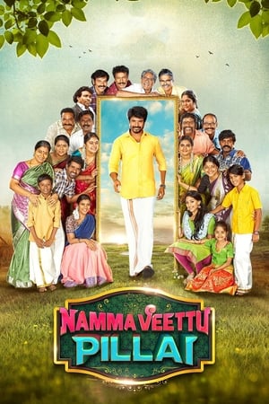 Namma Veettu Pillai (2019) (Hindi – Tamil) Dual Audio 450MB HD Poster Download - Filmyzilla