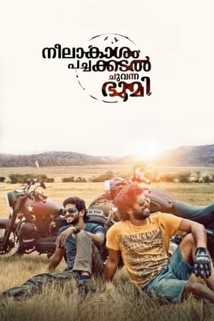 Neelakasham Pachakadal Chuvanna Bhoomi (2013) Hindi Dubbed [1.4GB] HD Poster Download - Filmyzilla