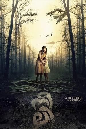 Neeli (2018) (Hindi – Malayalam) Dual Audio [1.2GB] HD Poster Download - Filmyzilla