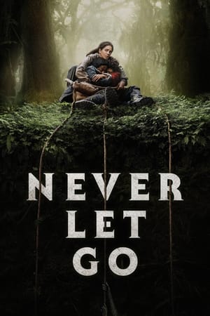 Never Let Go 2024 Hindi Dual Audio – 720p – HD Poster Download - Filmyzilla