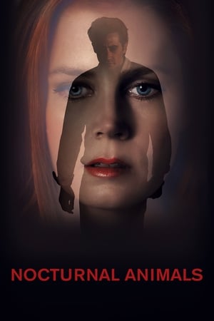Nocturnal Animals (2016) Hindi Dual Audio [1GB] HD Poster Download - Filmyzilla