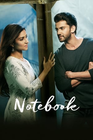 Notebook (2019) Hindi Movie Pre- [700MB] HD Poster Download - Filmyzilla