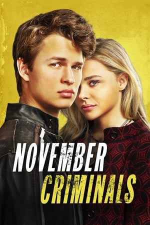 November Criminals (2017) Hindi Dual Audio – HD Poster Download - Filmyzilla