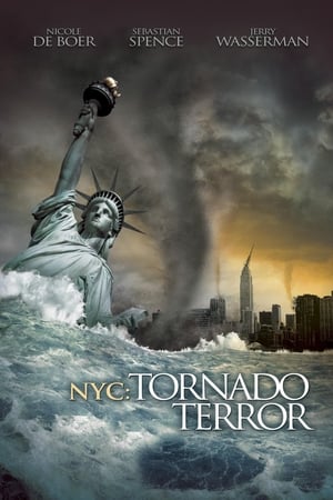 NYC Tornado Terror 2008 Hindi Dual Audio [1.1GB] HD Poster Download - Filmyzilla