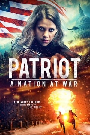 Patriot A Nation at War 2020 Hindi Dual Audio 300MB HD Poster Download - Filmyzilla