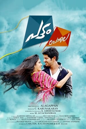 Pattam Pole (2013) (Hindi – Malayalam) Dual Audio 400MB HD Poster Download - Filmyzilla