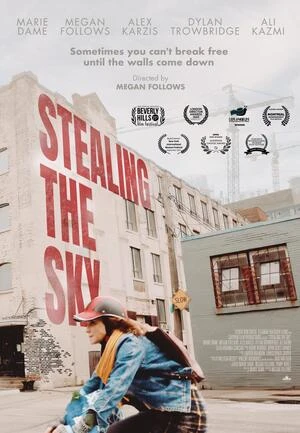 Stealing the Sky 2025 English Audio HD Poster Download - Filmyzilla