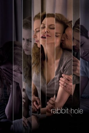 Rabbit Hole (2010) Hindi Dual Audio [750MB] ESubs HD Poster Download - Filmyzilla