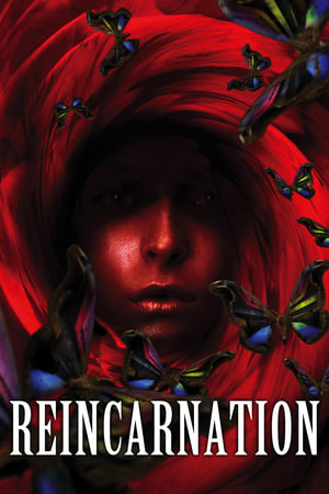 Reincarnation 2005 Hindi Dual Audio 300MB HD Poster Download - Filmyzilla