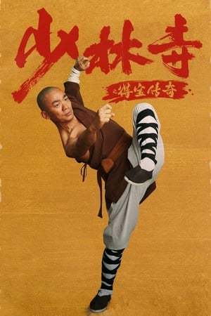 Rising Shaolin: The Protector (2021) Hindi Dual Audio – HD Poster Download - Filmyzilla