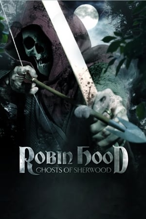 Robin Hood: Ghosts of Sherwood (2012) Hindi Dual Audio 350MB HD Poster Download - Filmyzilla