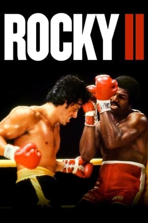 Rocky II (1979) Dual Audio Hindi Full Movie - 850MB HD Poster Download - Filmyzilla