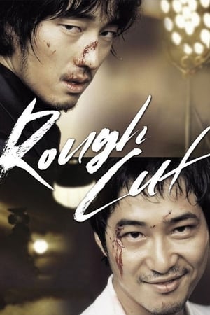Rough Cut (2008) Hindi Dual Audio [1GB] HD Poster Download - Filmyzilla