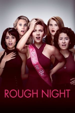 Rough Night (2017) Hindi Dual Audio 400MB HD Poster Download - Filmyzilla