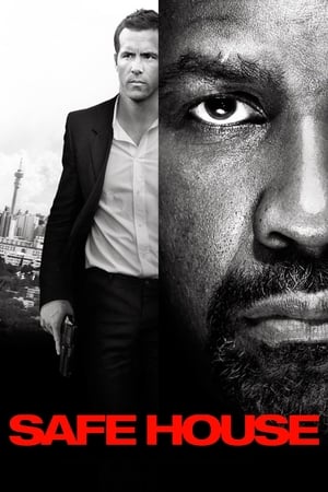 Safe House (2012) Hindi Dual Audio 350MB HD Poster Download - Filmyzilla