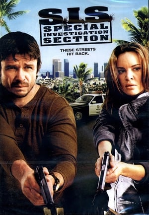 SIS Special Investigation Section 2008 Hindi Dual Audio 270MB HD Poster Download - Filmyzilla
