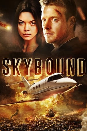 Skybound (2017) Hindi Dual Audio 350MB HD Poster Download - Filmyzilla