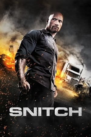 Snitch (2013) Hindi Dual Audio 350MB HD Poster Download - Filmyzilla