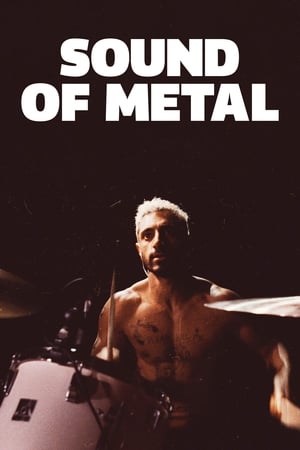 Sound of Metal (2019) Hindi Dual Audio – HD Poster Download - Filmyzilla
