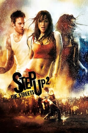 Step Up 2 The Streets 2008 Hindi Dual Audio 300MB HD Poster Download - Filmyzilla
