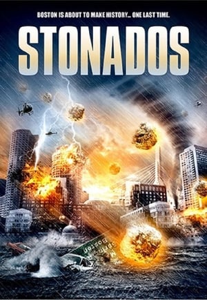 Stonados (2013) Hindi Dual Audio [840MB] HD Poster Download - Filmyzilla